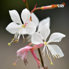 7ff41be635adc25686e517c6e631b435f8a9ee086d86bf4f1020f5e9366a.png