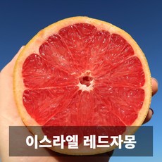 도매가 금메달농수산 직수입 이스라엘 레드 자몽 대용량, 1개, 40과 14kg