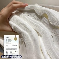 건티슈2.5
