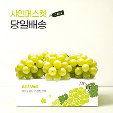 [프리미엄] 17brix 1세대 명인 농부의 고당도 샤인머스켓, 1박스, 2.4kg (3수)