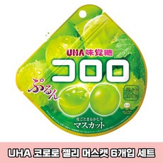 일본 UHA 미카쿠도 코로로 젤리 머스캣 청포도맛 6봉 세트 일본직구 일본젤리, 6개, 48g