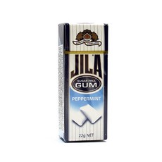 자일라껌 페퍼민트 향 무설탕 껌, 22g, 1개