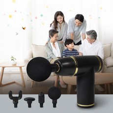 바디픽셀머슬건미니