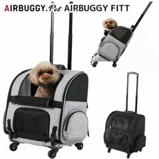 에어버기유모차