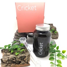 게코밥 파충류 간식 귀뚜라미, 100g, 1개