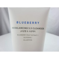 이니스프리 블루 베리 리 밸런싱 5.5 클렌저 100ml : 뷰티, 1