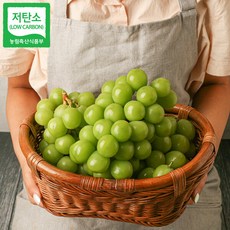 (현대백화점) 경산 저탄소 샤인머스켓 씨없는 청포도 2kg(2 3송이)