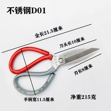 머리뼈