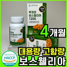  보스웰리아 1200mg x 120정 추출물 분말 100% 인도 산 해썹 식약청 인증 식약청 인정 보스웰릭산 65% AKBA KBA 보스엘리아 보스웰니아 보수웰리아 보스엘리아 2개  상품 이미지