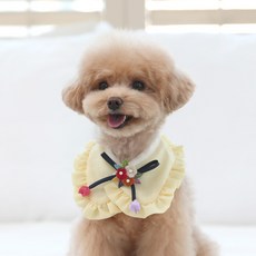 돌정장케이프