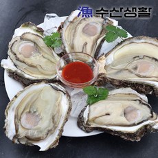 [수산생활] 거제도 자연산 바위굴 하프셀 1kg, 1개