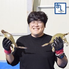 해잡남 충남 태안 산지직송 제철 활 꽃게 암꽃게 냉동꽃게 손질꽃게 (가을 봄) 숫꽃게 2kg, 1개, [특가]활 빙장포장 꽃게 2kg (암수랜덤)