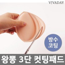 모시거들