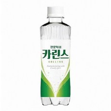 식당 카페 업소용 탄산수 탄산 소다 워터 카린스 300ml 24입