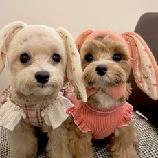 강아지 토끼 귀 모자 애견 펫 비니 귀마개 고양이, 1개, 하얀색 S
