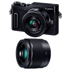 파나소닉 미러리스 일안 카메라 루믹스 GF10 더블 렌즈 킷 표준 줌 렌즈단초점 렌즈 부속 블랙 DC-GF10W-K