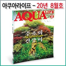 아쿠아라이프 2020년 08월호