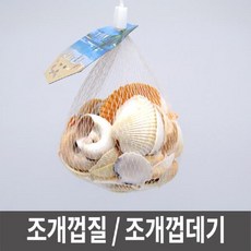 꾸미기조개껍데기