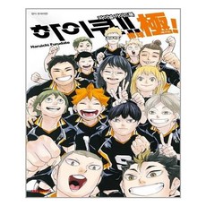 하이큐파이널가이드북