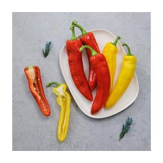 트리벨리 프리미엄 김제 파프리카 1.2kg, ONE COLOR, ONE SIZE