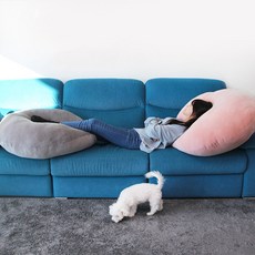 쫀득바디필로우