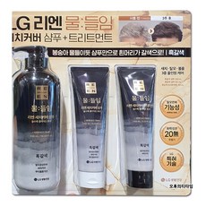 LG 리엔 물들임 샴푸 700ml+트리트먼트 150ml 흑갈색, 1개