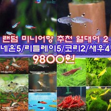 9bce3d4a5ce2b5371c0f7cc3fff1e04507d2a4b9d605d15c2bc6781e73d4.jpg