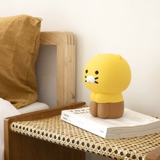 카카오무드등