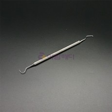 익스플로러치석제거