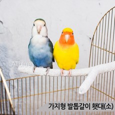 9a986df3a8ff073a577fbf5400ff49140166f1f6d1449ac5484190e57baf.jpg