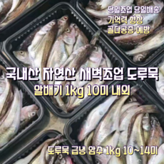 [산지직송] 국내산 자연산 강원도 새벽조업한 햇 도루묵 알배기 1kg 10미내외. 햇도루묵 암수 급냉 1kg 10~14미 1박스, 새벽조업 햇도루묵 암수 급냉 1kg 10~14미