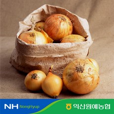익산원예농협수박