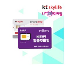 KT (스카이라이프) / (고고모바일) 알뜰폰 유심 알뜰폰요금제, KT 번호이동, 1개