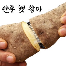 엄마네곳간 안동마 당일선별, 1박스, [장마] 상품 2kg