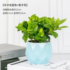 4205e1933a3f35906b29bbcd87443e45be514a0564b3f81e73f7ffc07957.jpg