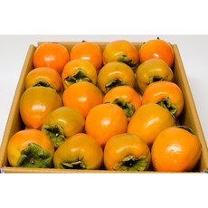 고당도 당도선별 대봉감 10kg (30~50개), 1박스