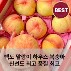 [당일수확] 백도 말랑이 하우스 복숭아 신비복숭아 거반도 대극천 산지직송, 특대과 4kg (8-14과), 1개