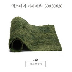 [EXOTERRA] 이끼매트 30X30사이즈, 1개