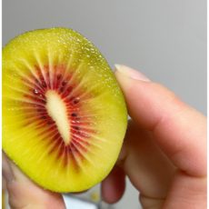 고당도 빨간 키위 제주도 레드키위 산지직송, 1박스, 1kg