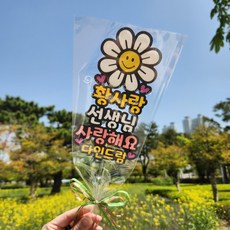 스승의날선물 토퍼 꽃다발 카네이션 데이지 졸업 수료 선생님선물, 2줄, 1개