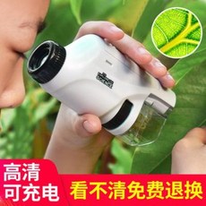 주사전자현미경