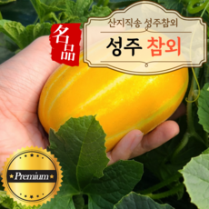 피기푸드 산지직송 성주 참외 햇 가정용 선물용 특품 3kg 5kg 소과 중과 대과 혼합과 백화점 박스포장, 혼합과_3kg