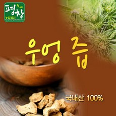 평창액티비티