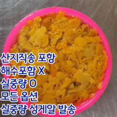 산지직송 포항 우니 보라성게 성게알, 500g, 1개