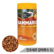 //상품명