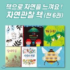 [전집] 자연관찰책 세트 [ 전6권 ] - 책으로 자연을 느껴요!! : -꿀벌과 거미를 지켜줘/지구의 보이지 않는 곳을 들여다보았더니/개구리/갈대의 길/자연..., 풀빛(전집), 에밀리 바스트 글그림/박나리 역