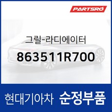 라디에이터 그릴 (863511R700) 엑센트 RB, 1개
