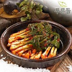 [푸른들] 양념한가득 전라남도 함평김치 파김치 3kg, 1개