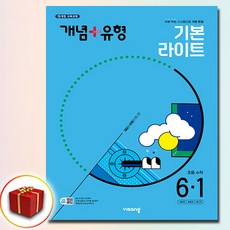 2025 개념플러스유형 라이트 초등 수학 6-1