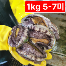 [활전복 산지직송] 완도 직거래 전복선물세트 왕특대, 1개, 프리미엄(5-7미) 1kg